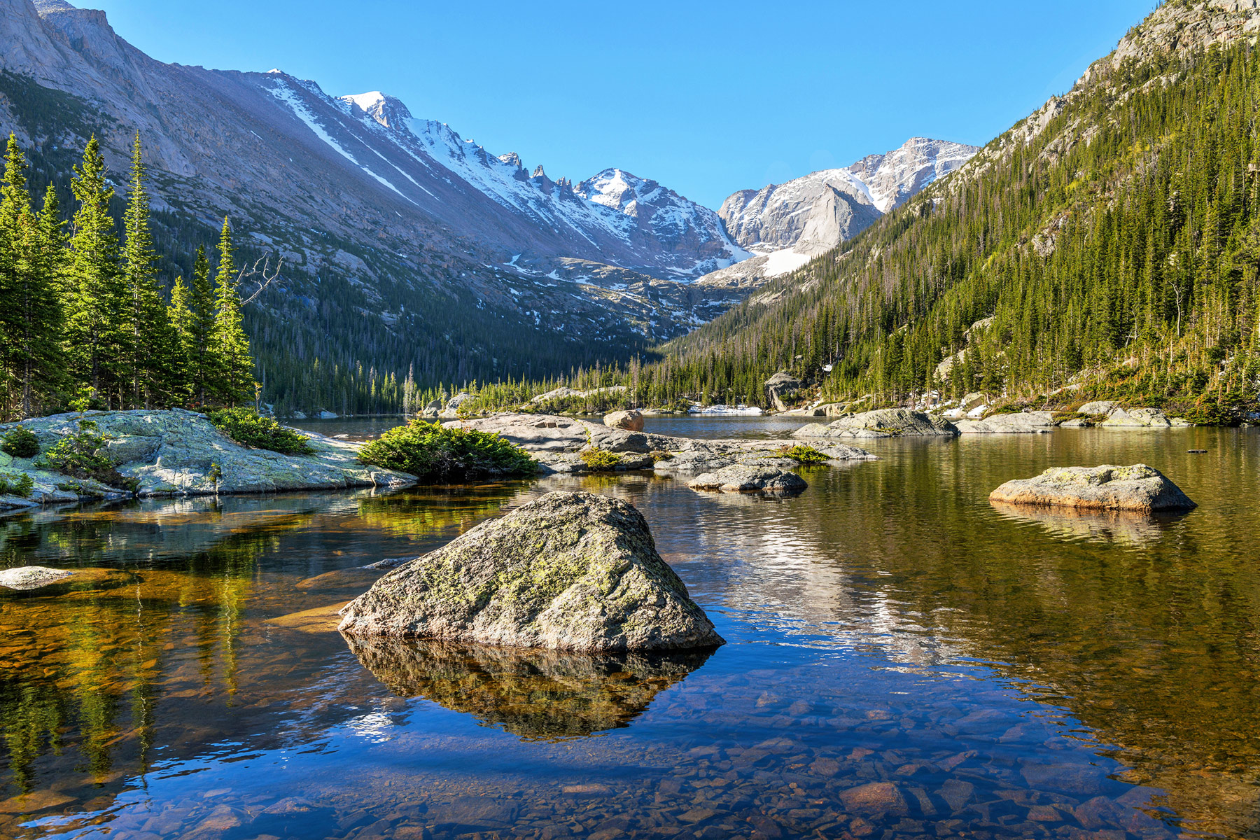 Climate Week 2025: The World Shows Up at A Critical Time hero image