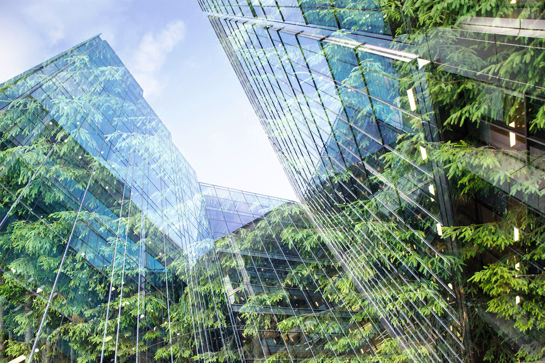 EU Omnibus: Challenges and Opportunities of the Parliament’s Proposed Changes to the CSDDD   hero image