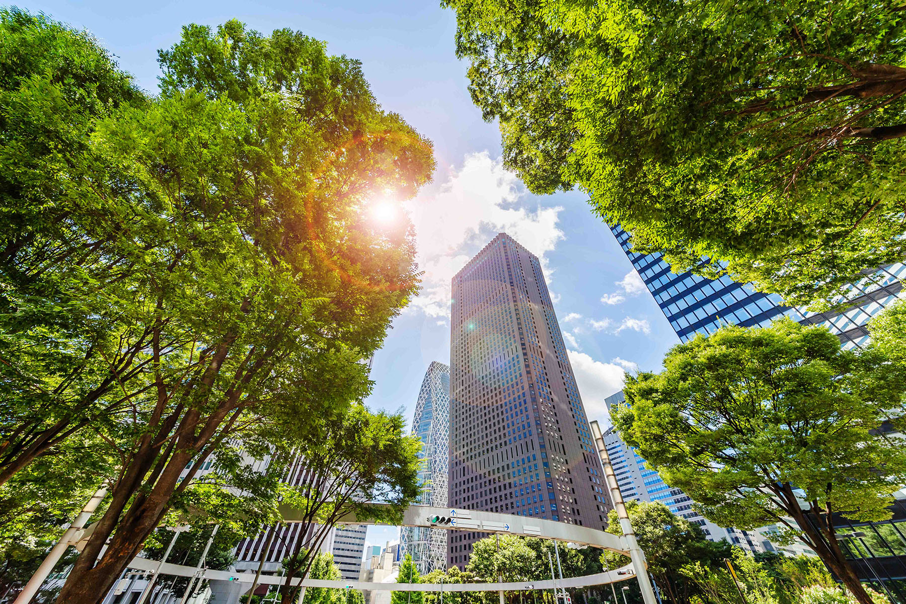 A Renewed Approach to Sustainability: Five Building Blocks for Business hero image