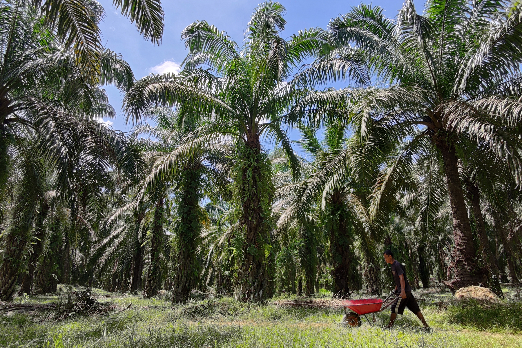 Action for Sustainable Derivatives: Annual Update on Progress, 2023 hero image