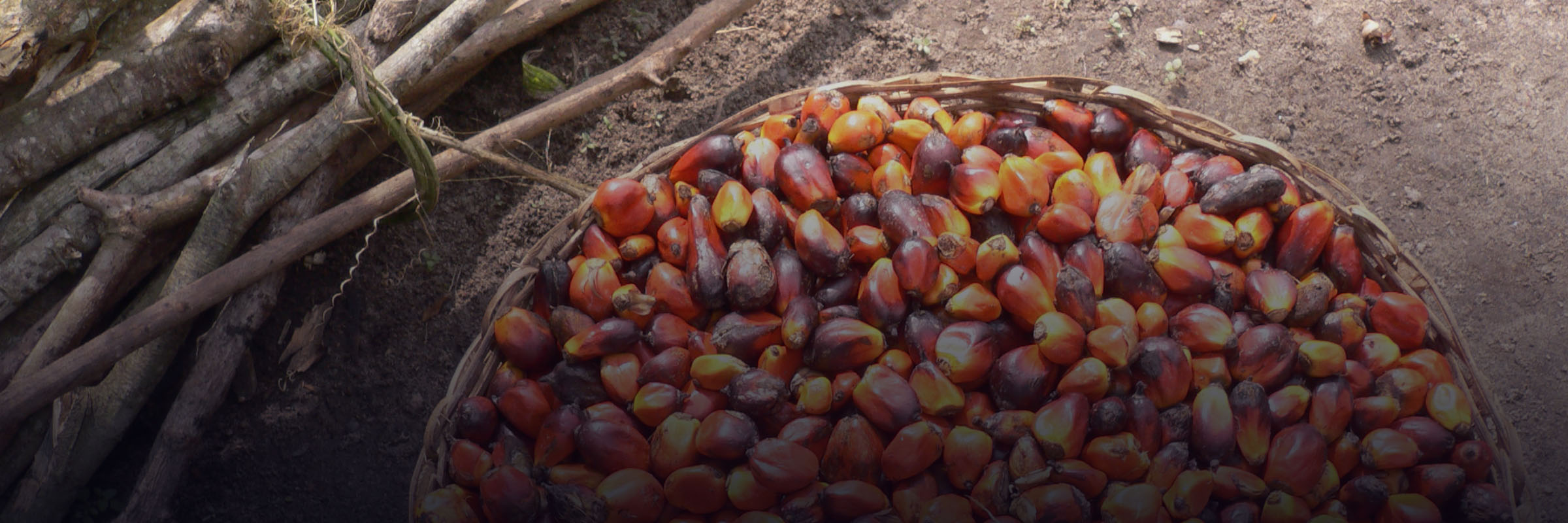 Action for Sustainable Derivatives | Annual Update on Progress 2020 hero image