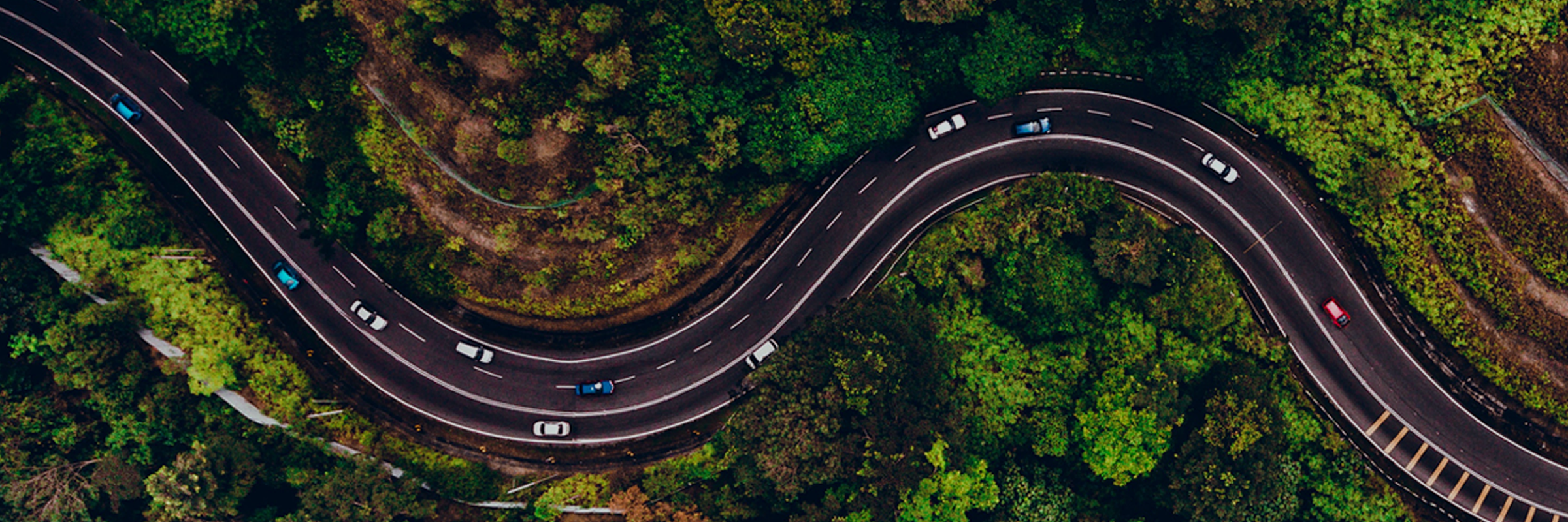 Supply Chain Visibility: Traceability, Transparency, and Mapping Explained hero image