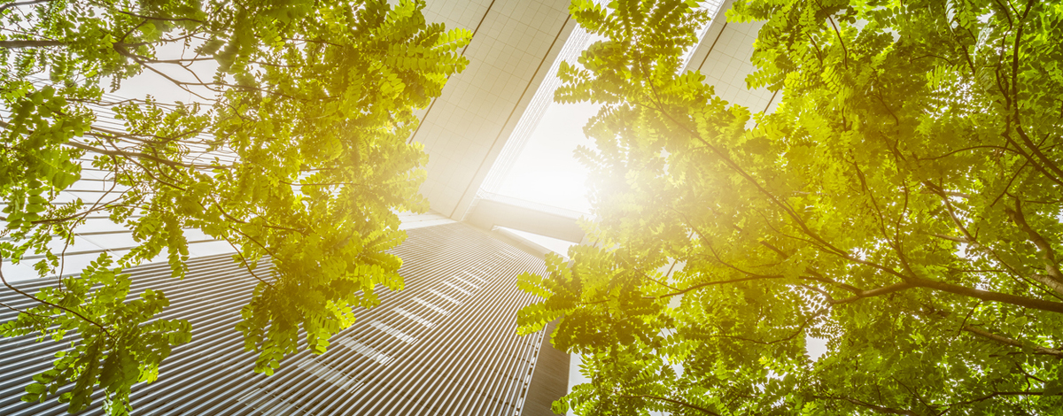 The Climate and Health Nexus: Embedding Equity through Community Engagement hero image