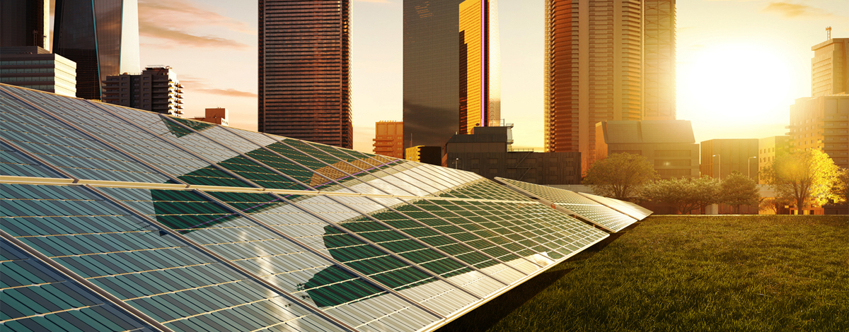 Stakeholder Engagement and Co-Creation for a Just Transition  hero image