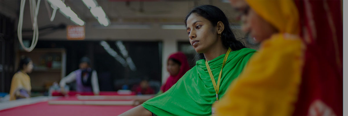 Gender Equality and Social Audits e-Learning hero image