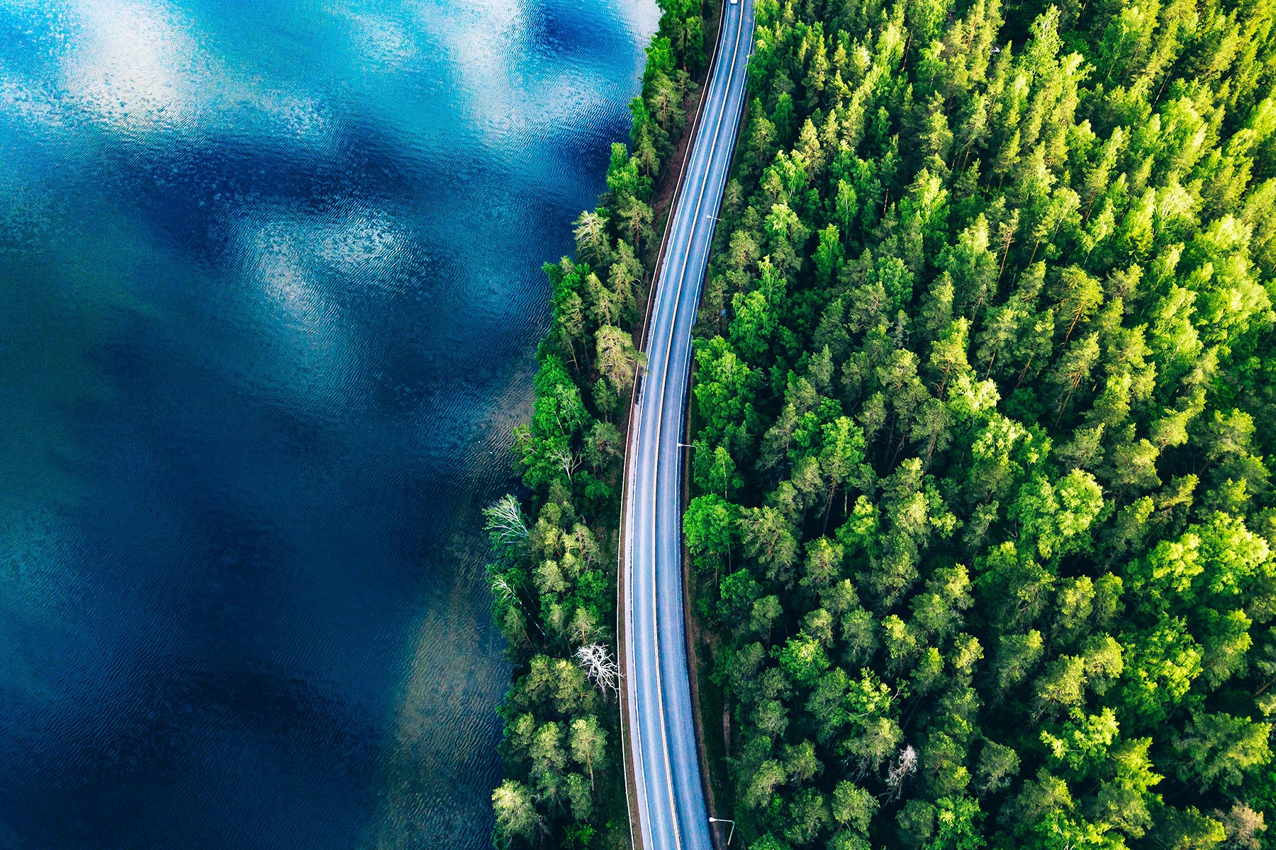 Climate and Nature hero image