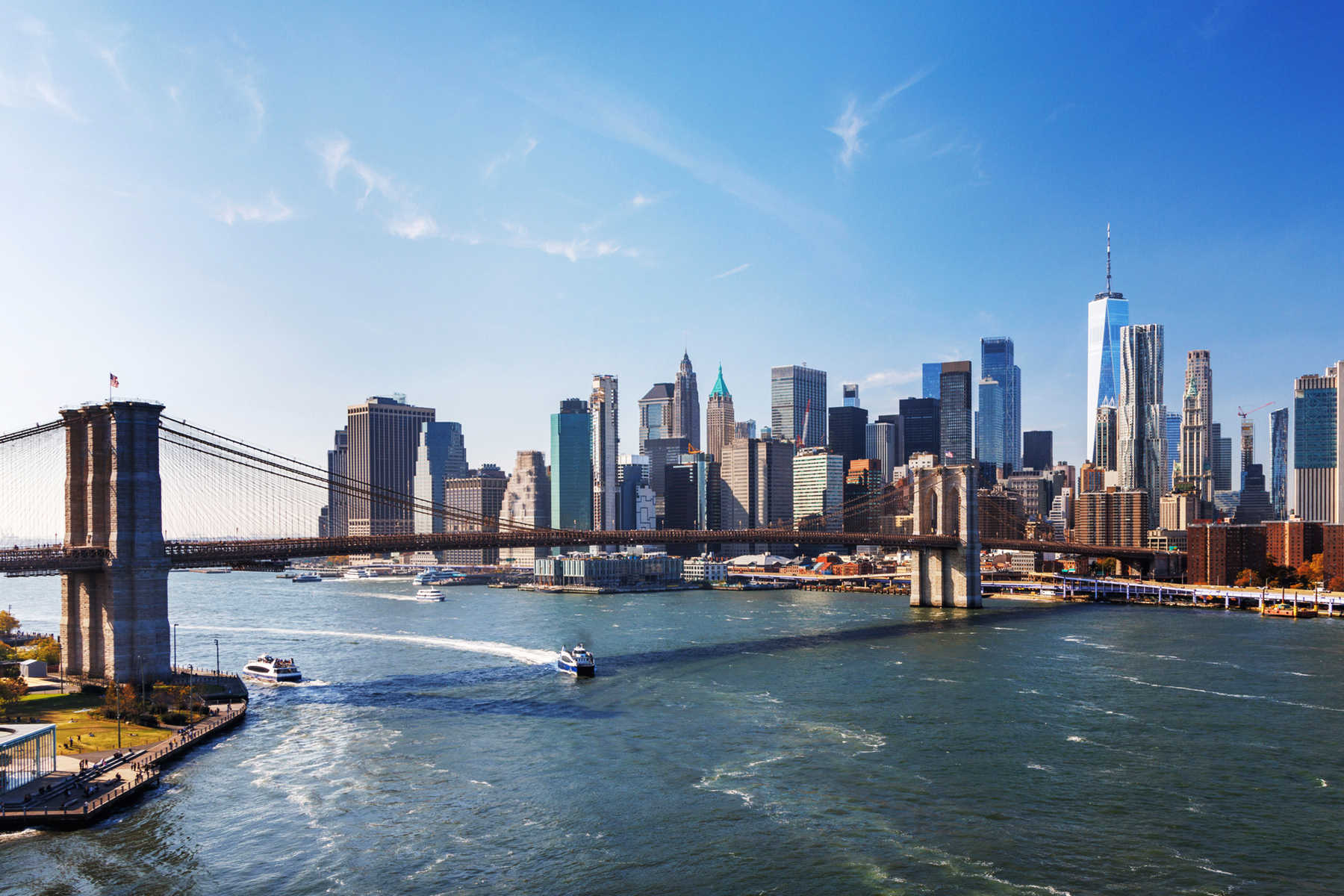 BSR at Climate Week NYC and UNGA Week hero image