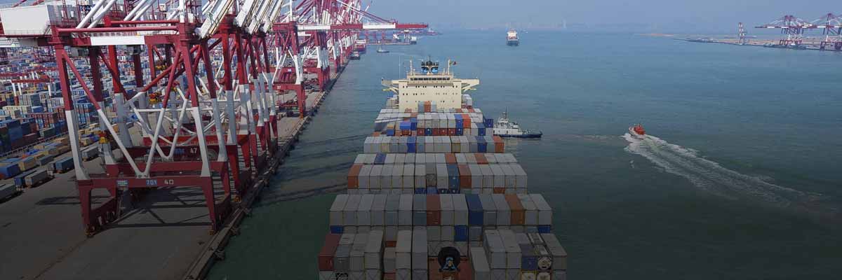 Clean Cargo Working Group: Measuring and Improving the Environmental Performance of Ocean Shipping hero image