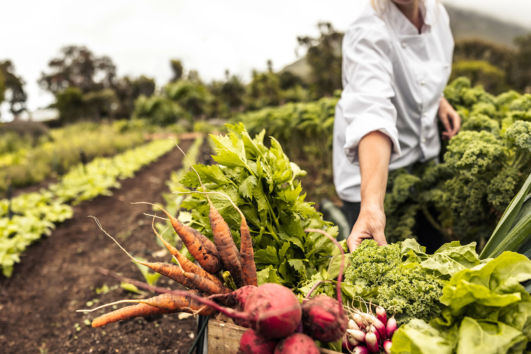 Food, Beverage, and Agriculture hero image