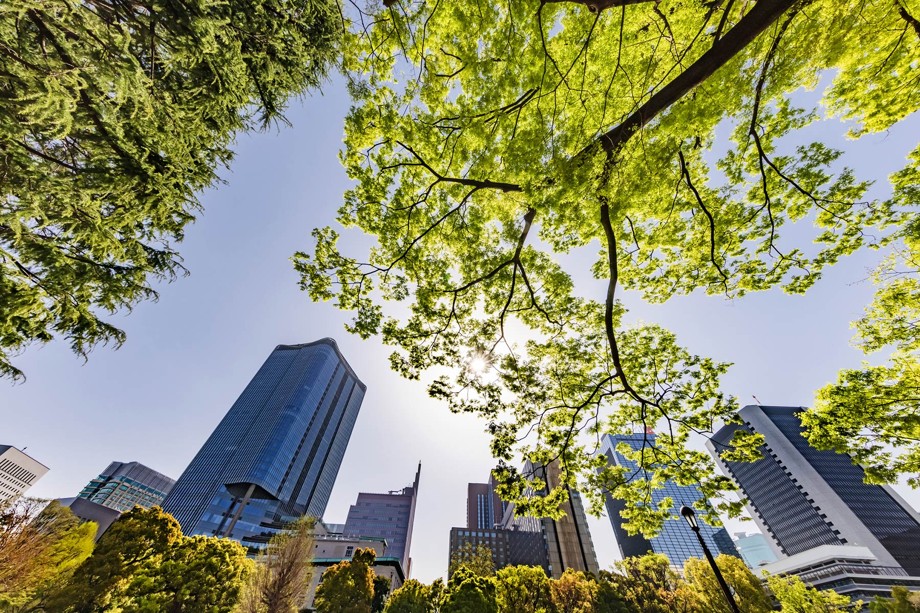 Sustainability Management hero image
