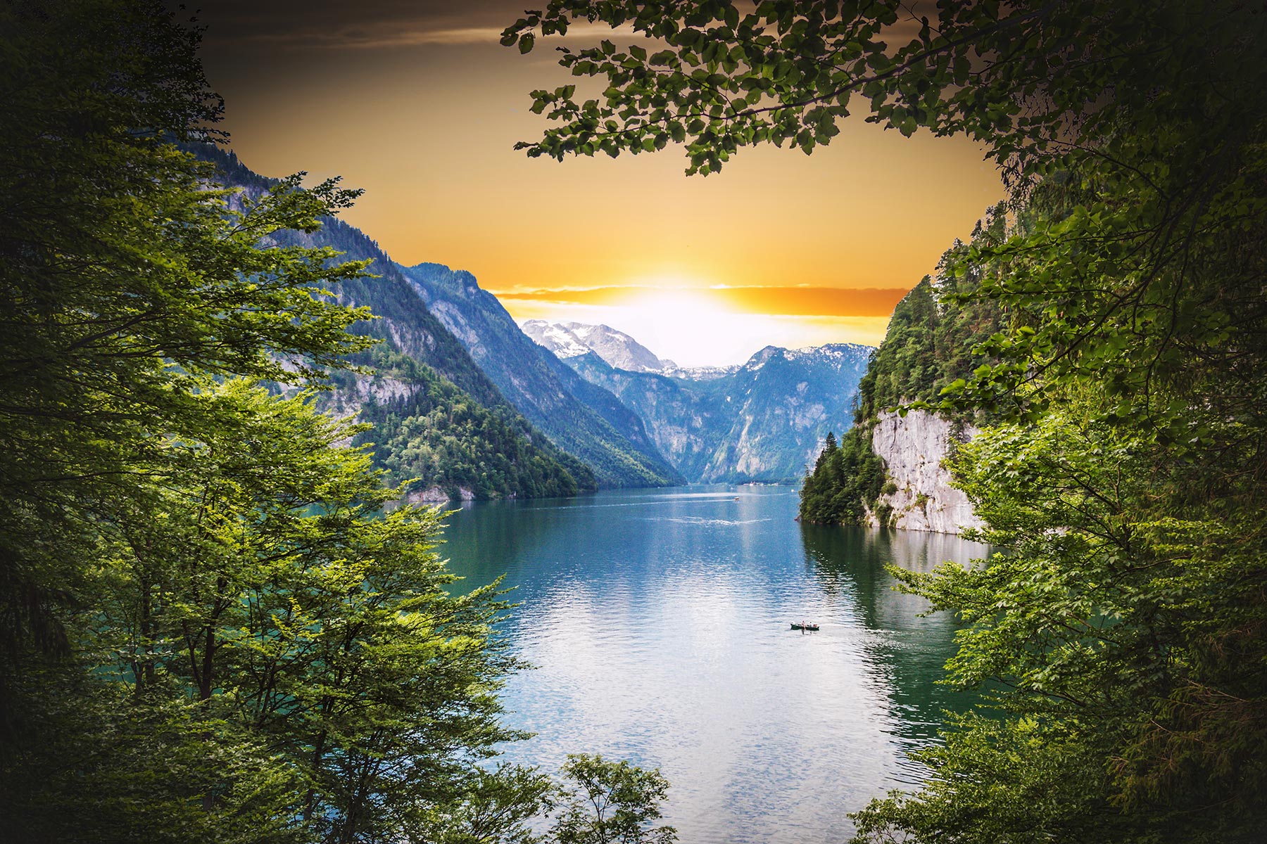 Back to Nature: A Call to Action hero image