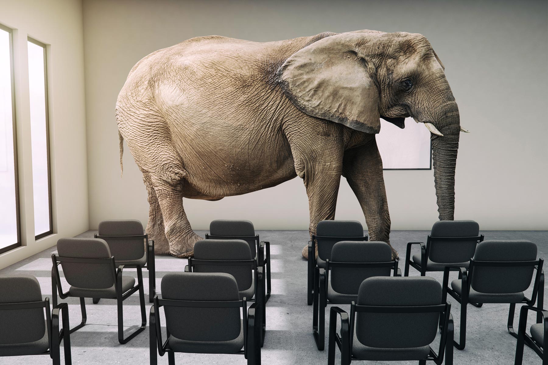 The Elephant in the Sustainability Room hero image