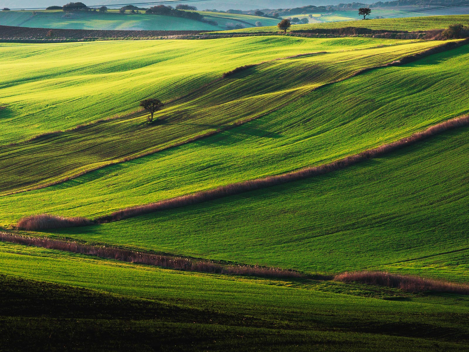 Advisory Services hero image