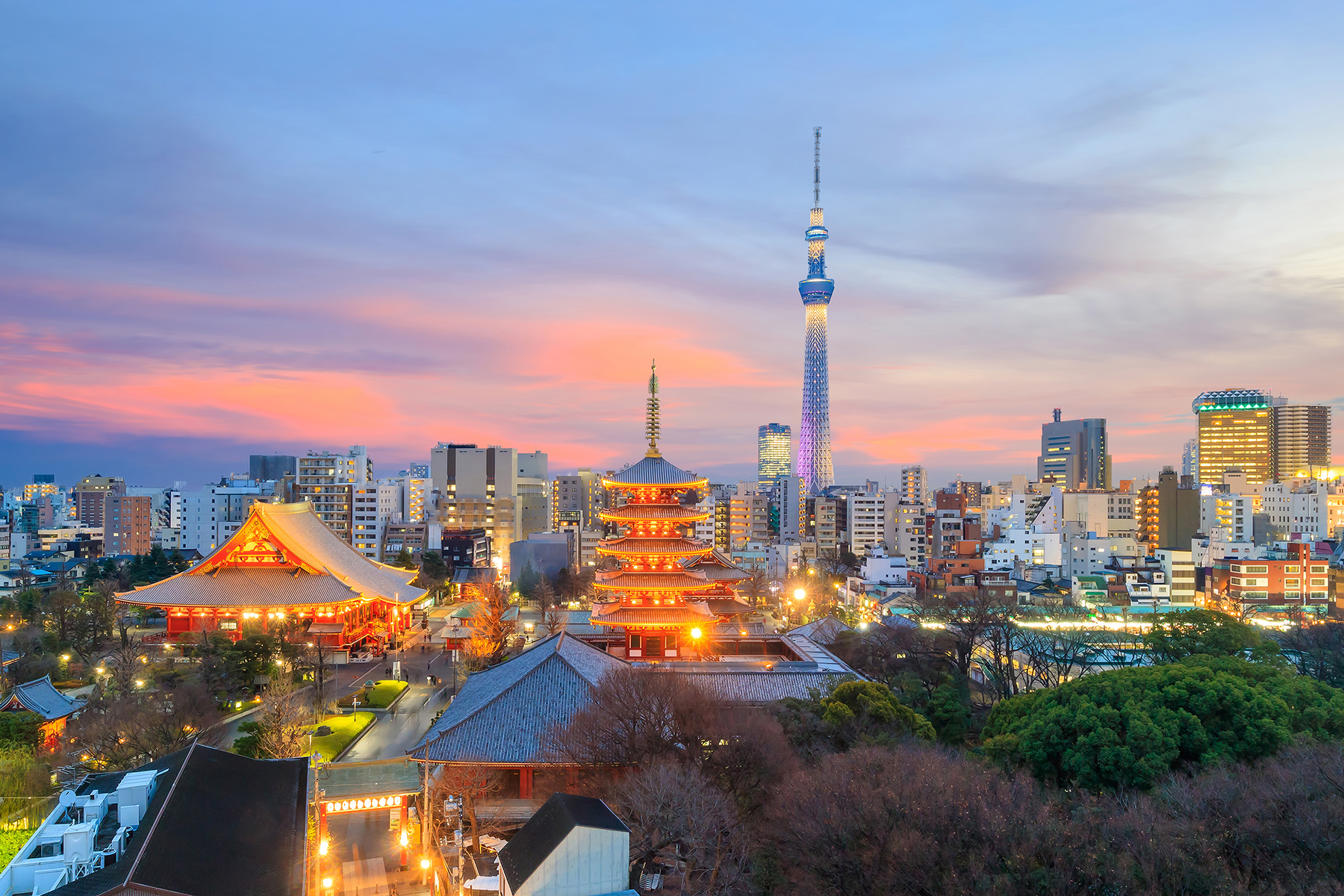 Japan Sustainability Strategy Working Group hero image