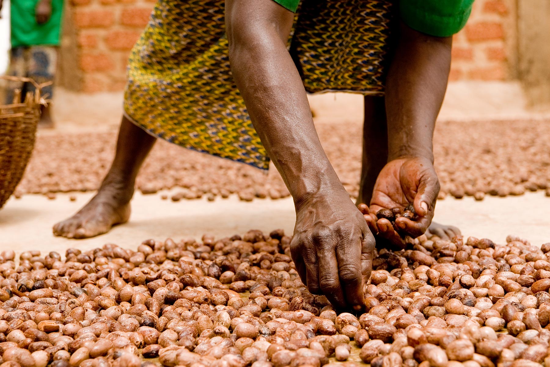 Building Financial Resilience of Women Workers in the Shea Industry hero image