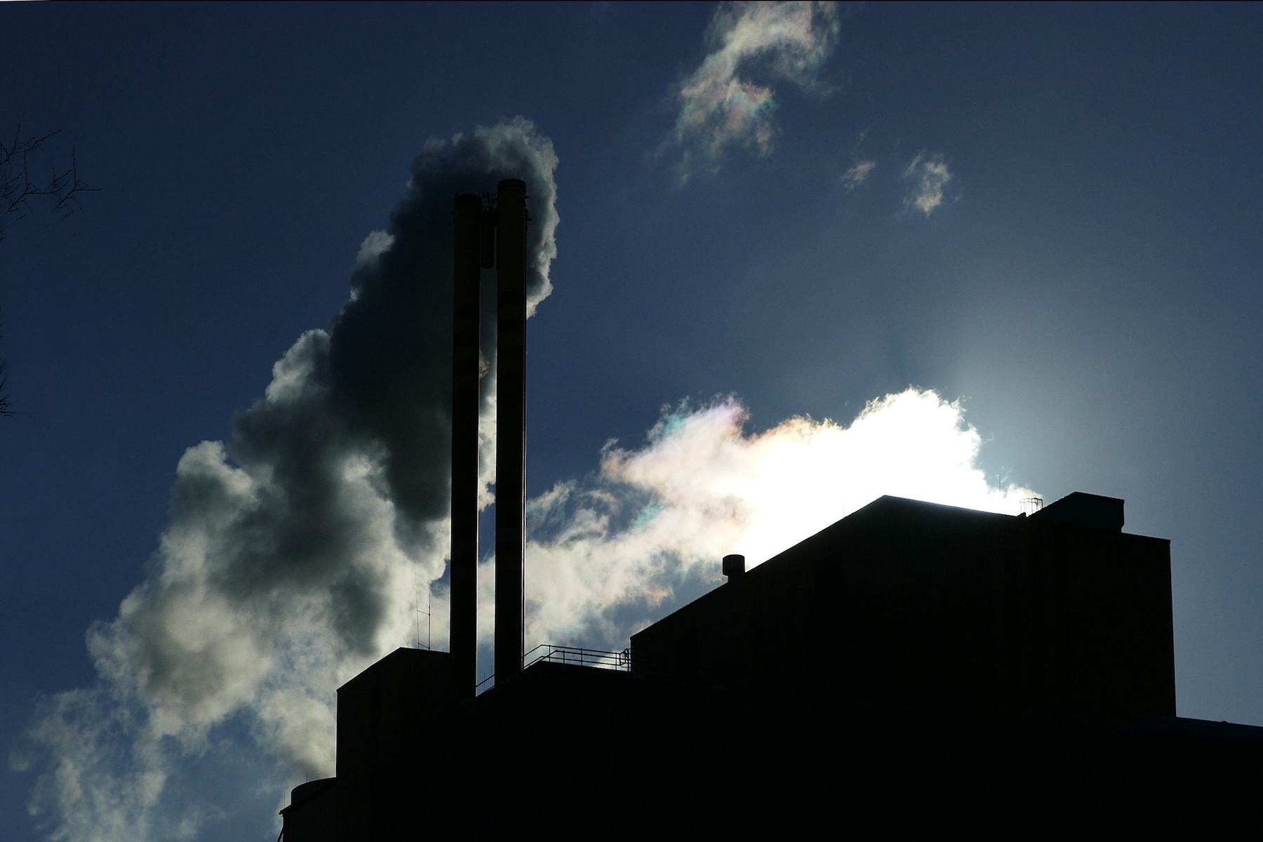 Navigating US Climate Policy Shifts: Business Perspectives on the Endangerment Finding hero image