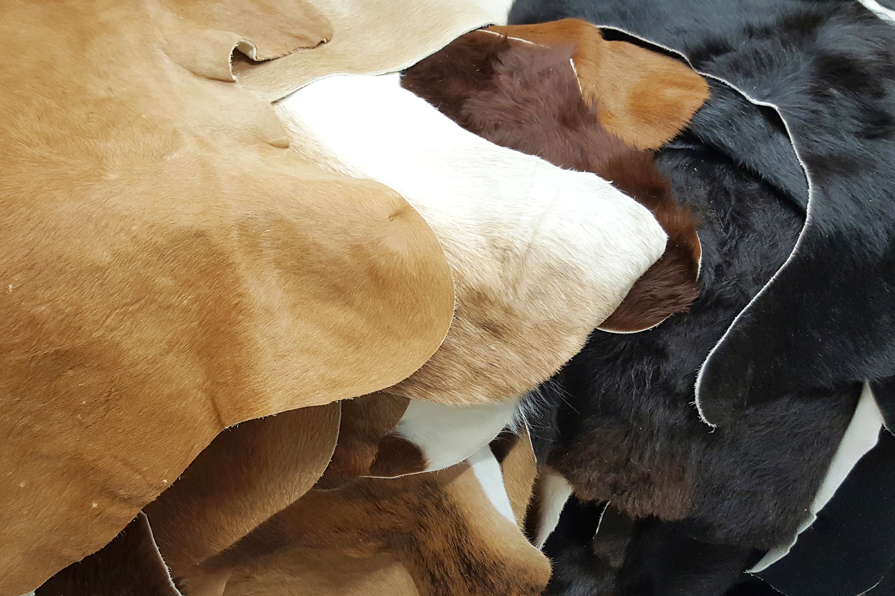 Leather-Linked Soy Deforestation hero image