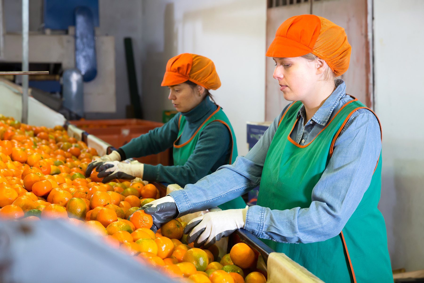 Closing the Gender Gap: Addressing Wage Inequality hero image