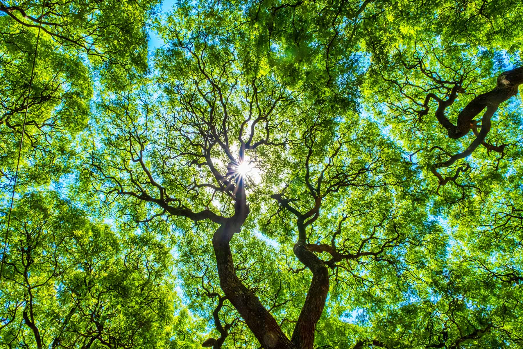 Accelerating SME Net-Zero Action: Call for Collective Action hero image