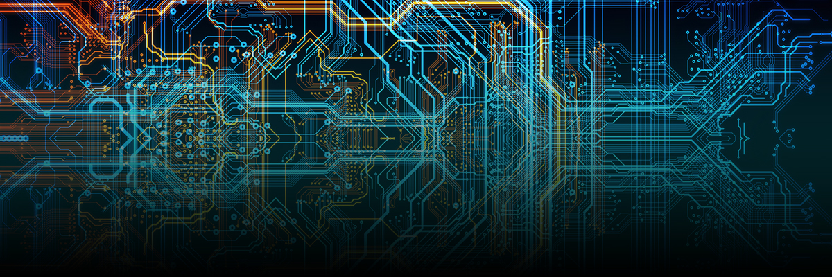 Harnessing the Power of Data to Combat Human Trafficking hero image