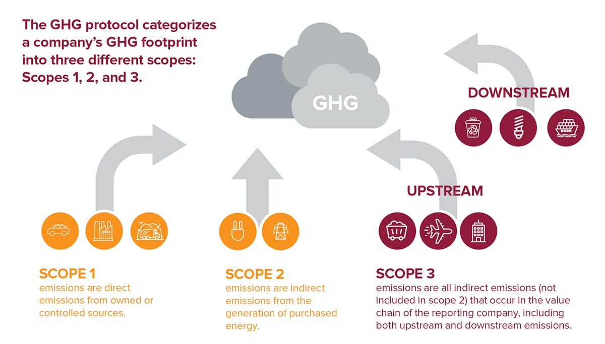 Scope 3 infographic