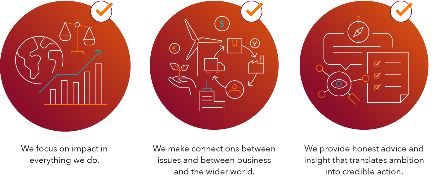 Core principles infographic