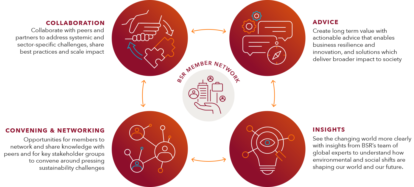 How we work, delivering impact infographic