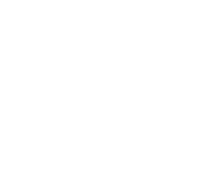 Spoke and wheel