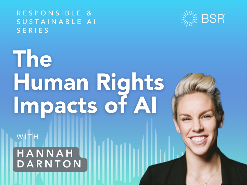 The Human Rights Impacts of AI thumbnail image