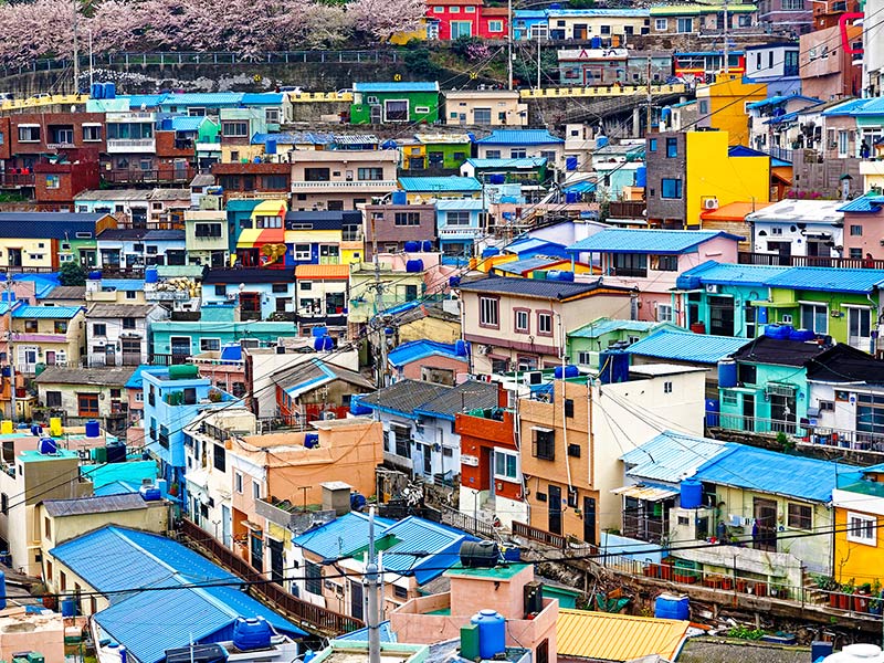 A Tool for Companies to Make Strategic, Inclusive Community Investments thumnail image