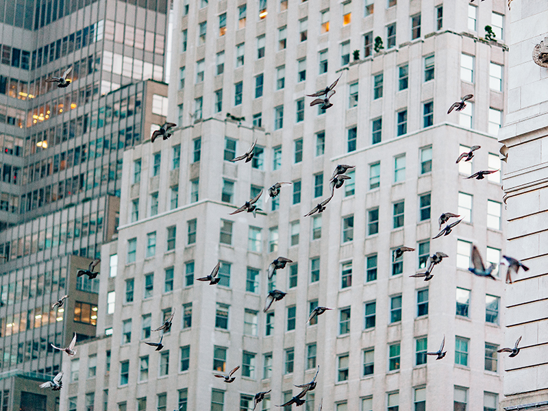 Evolution in Private Equity ESG: From Policies and Efficiency to Impact thumnail image