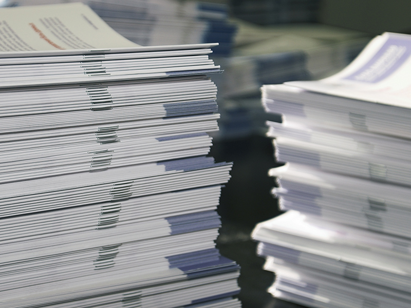 Calling All Sustainability Reporting Practitioners thumnail image
