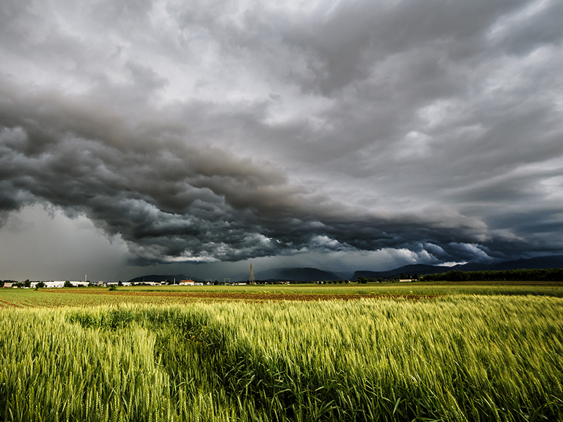 Investors, Consumers, and Markets Demand Climate Action: Four Trends for Your Business to Know thumnail image