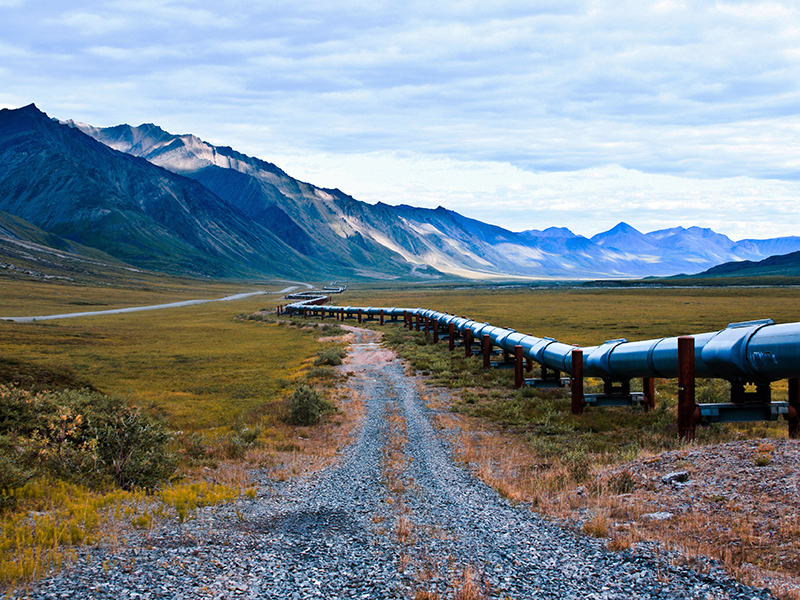 The Growing Business Risks in Fossil Fuels thumbnail image