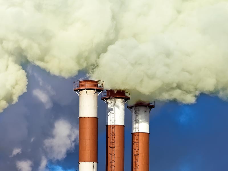 How Global Value Chains Push and Pull U.S. Companies on Climate Action thumbnail image