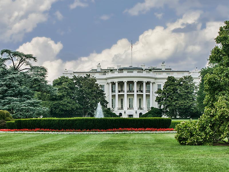 BSR Statement on U.S. Withdrawal from the Paris Agreement thumnail image