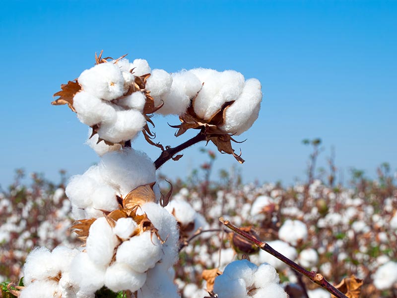Three Steps to Tackle Raw Materials Risks—from the Inside Out thumbnail image