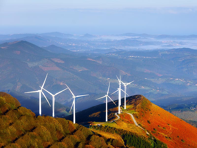 Business Steps Up Leadership on Climate Action as U.S. Administration Withdraws thumnail image