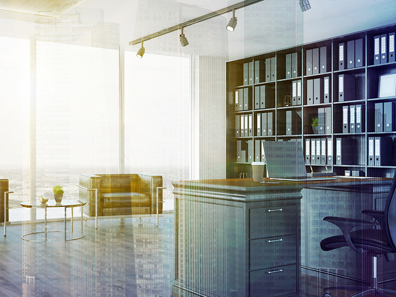(Re)Making the Case for Sustainability: Effective Sustainability Management through a CEO Transition thumbnail image