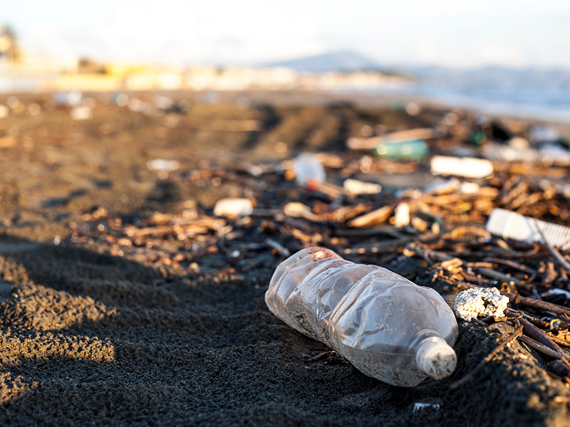 How Do We Solve the Plastic Waste Puzzle? thumnail image