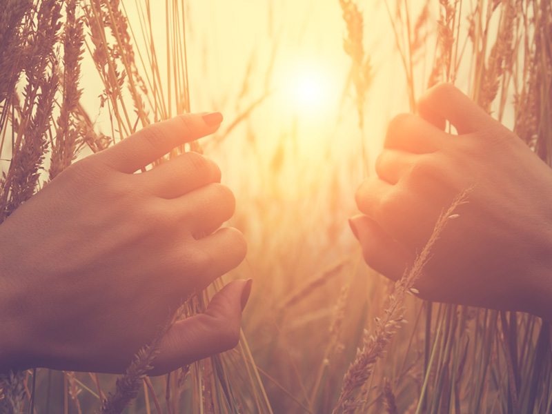 Is This the Beginning of the End for Impunity? thumnail image