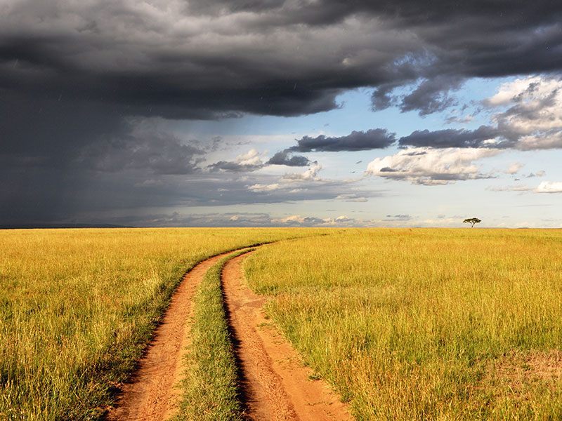 The Business Case for Building Climate Resilience into Your Supply Chain thumnail image