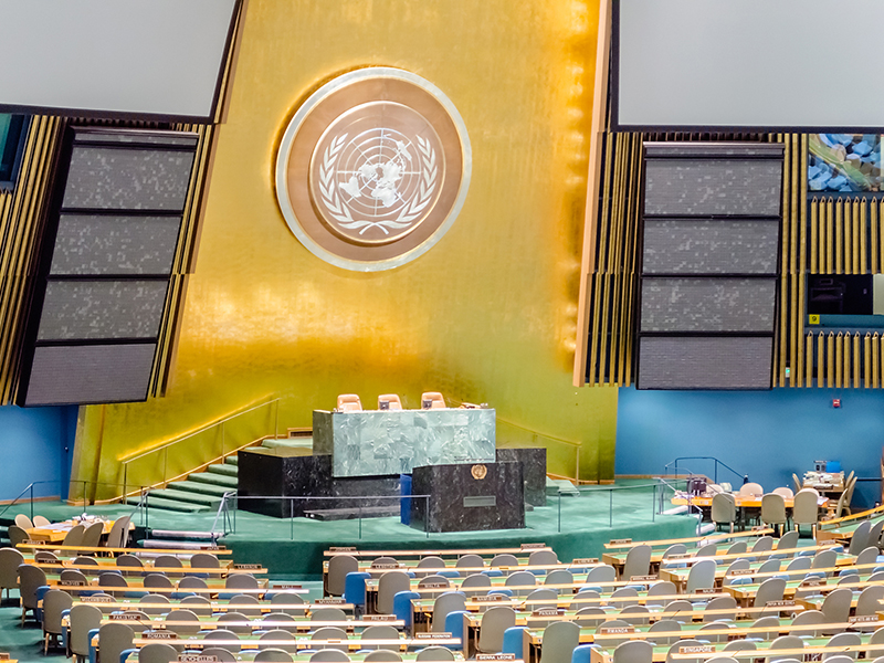 Happy Birthday to Your Human Rights! thumnail image