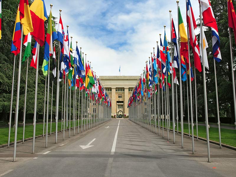 UNGPs’ 10th Anniversary: The Next Decade of Business and Human Rights thumbnail image