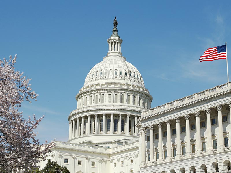 Election 2020: A Test for American Democracy, and A Test for American Business thumbnail image