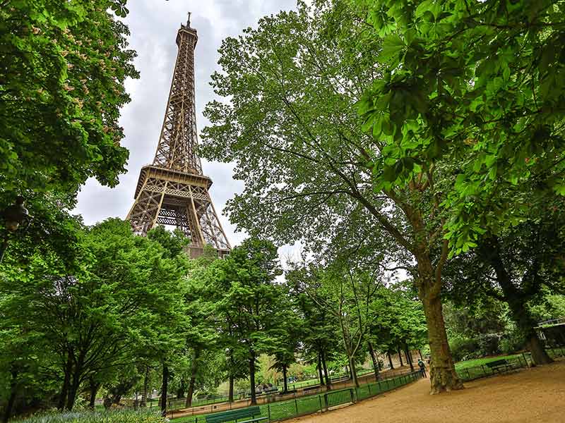 The Paris Agreement’s 5th Anniversary: Accelerating the Momentum for Net Zero thumbnail image