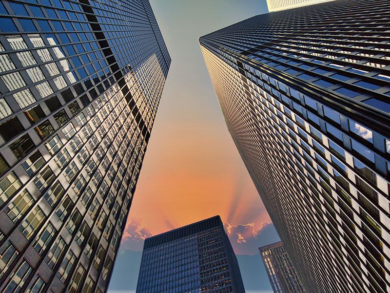 Dynamic Materiality: How Companies Can Future-Proof Materiality Assessments thumbnail image