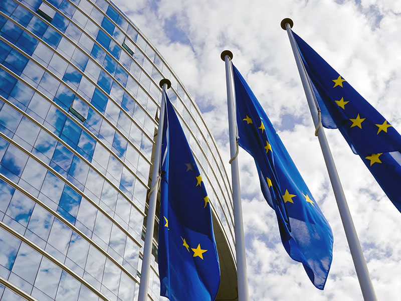 Corporate Sustainability Due Diligence Directive: Seven Recommendations for Business thumbnail image