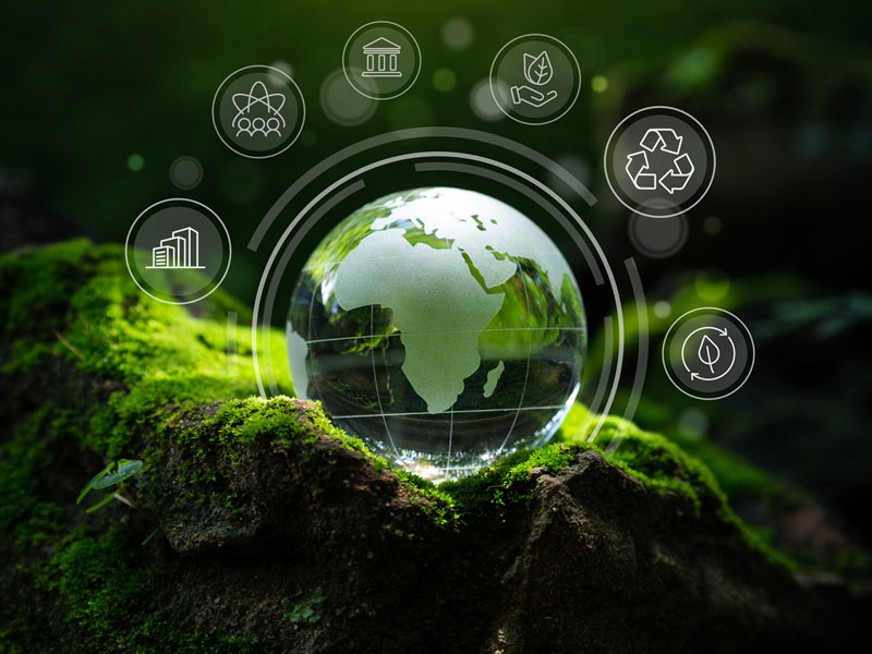 ESG Scenarios: Leading Sustainability in a New Context  thumbnail image