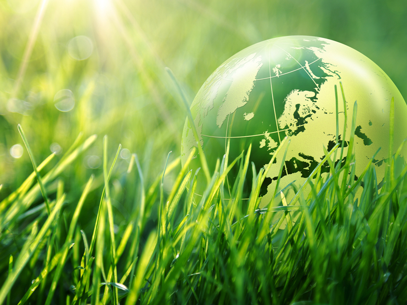 BSR’s Climate Journey Toward Net Zero thumnail image